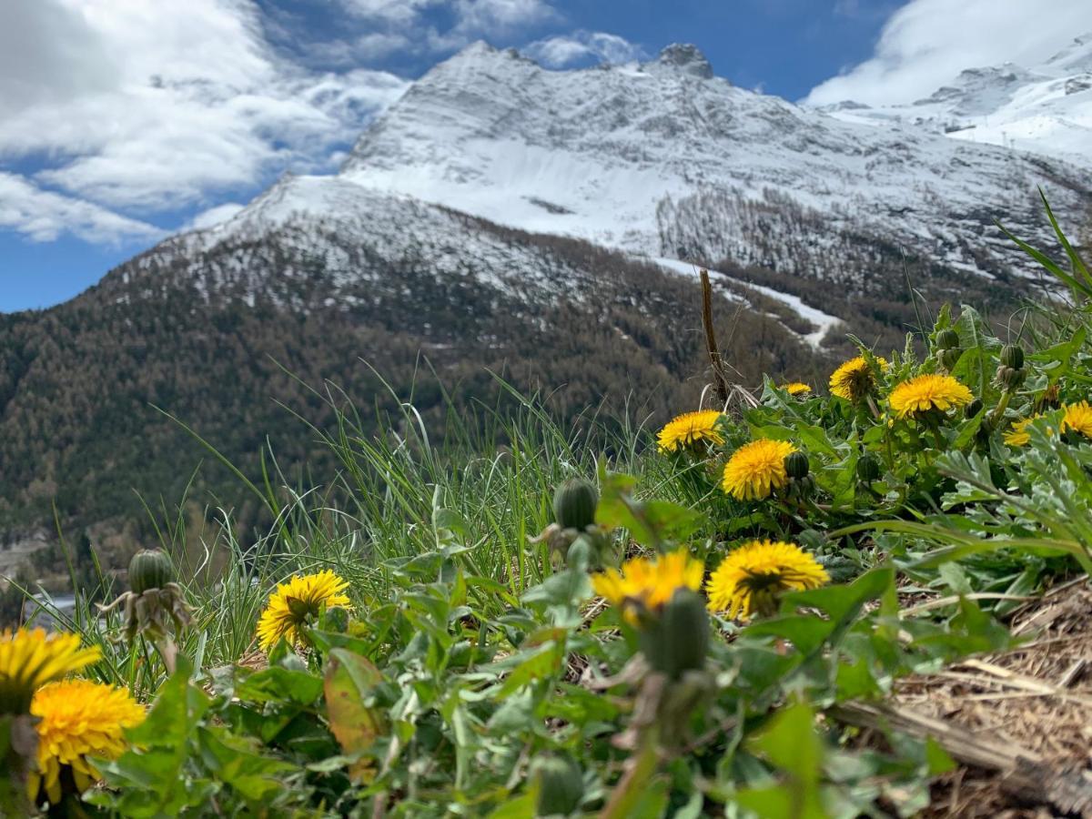 Chalet Birkhahn Saas Fee Exteriér fotografie