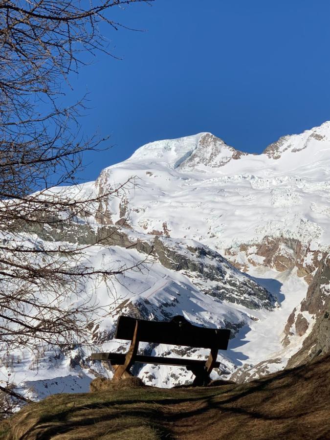 Chalet Birkhahn Saas Fee Exteriér fotografie