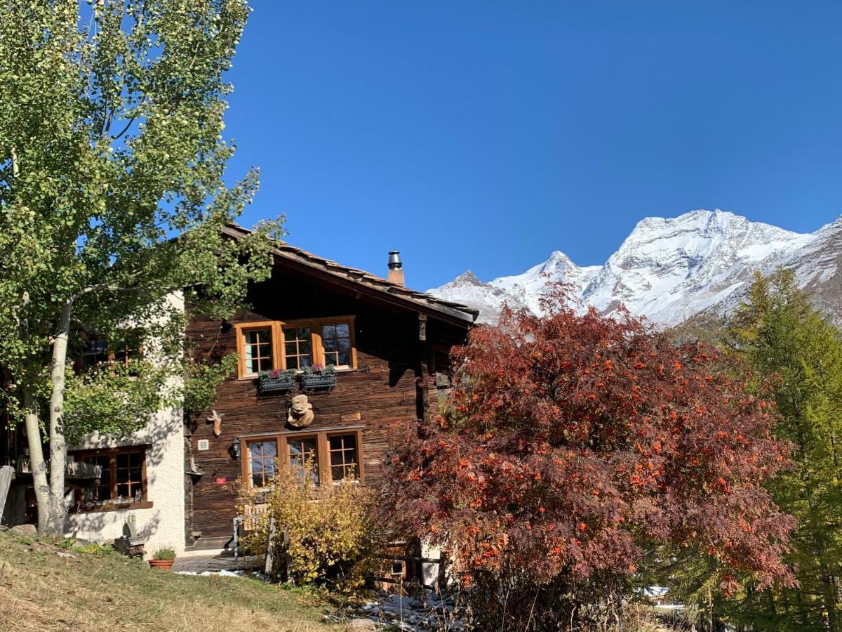 Chalet Birkhahn Saas Fee Exteriér fotografie