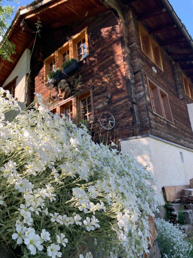 Chalet Birkhahn Saas Fee Exteriér fotografie