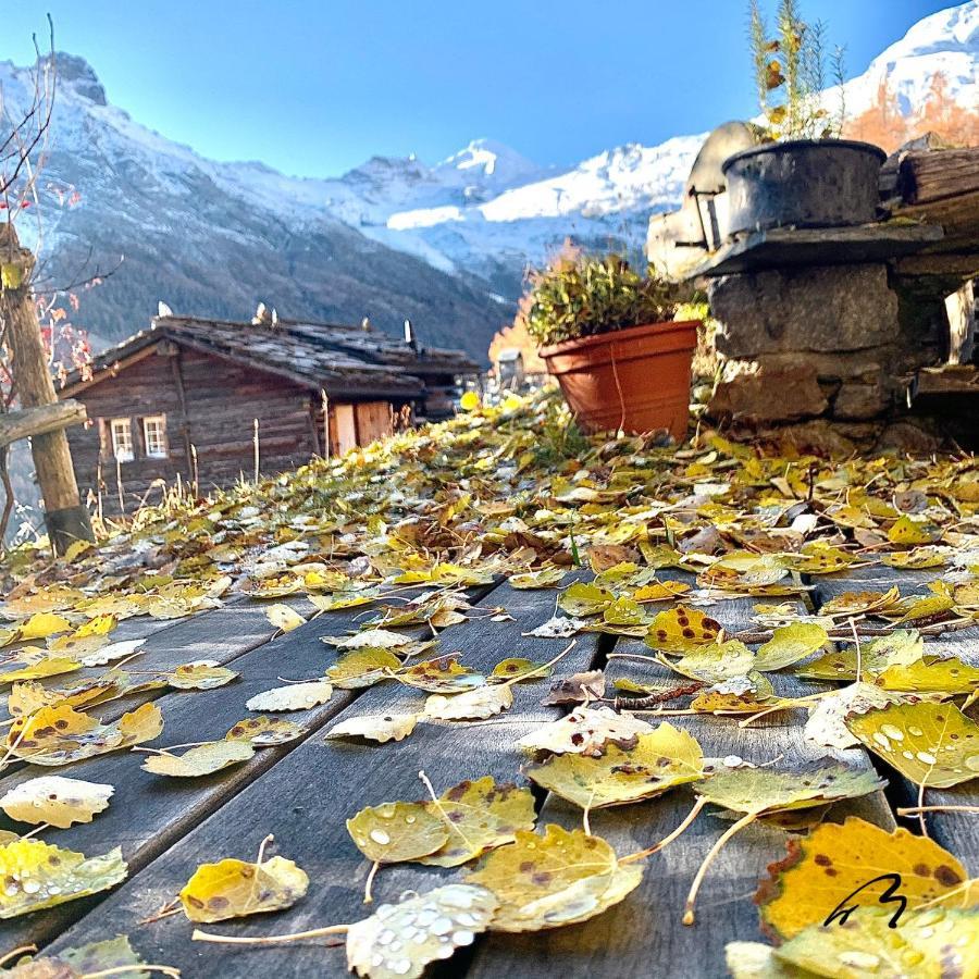 Chalet Birkhahn Saas Fee Exteriér fotografie