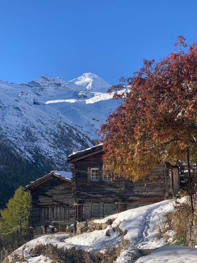 Chalet Birkhahn Saas Fee Exteriér fotografie